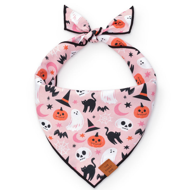 Foggy Dog Bewitched Halloween Dog Bandana