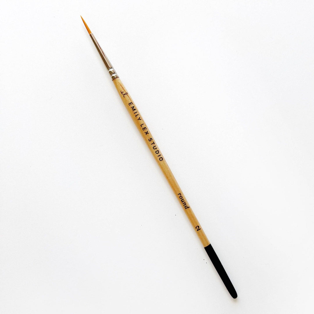 Emily Lex Watercolor paintbrush set