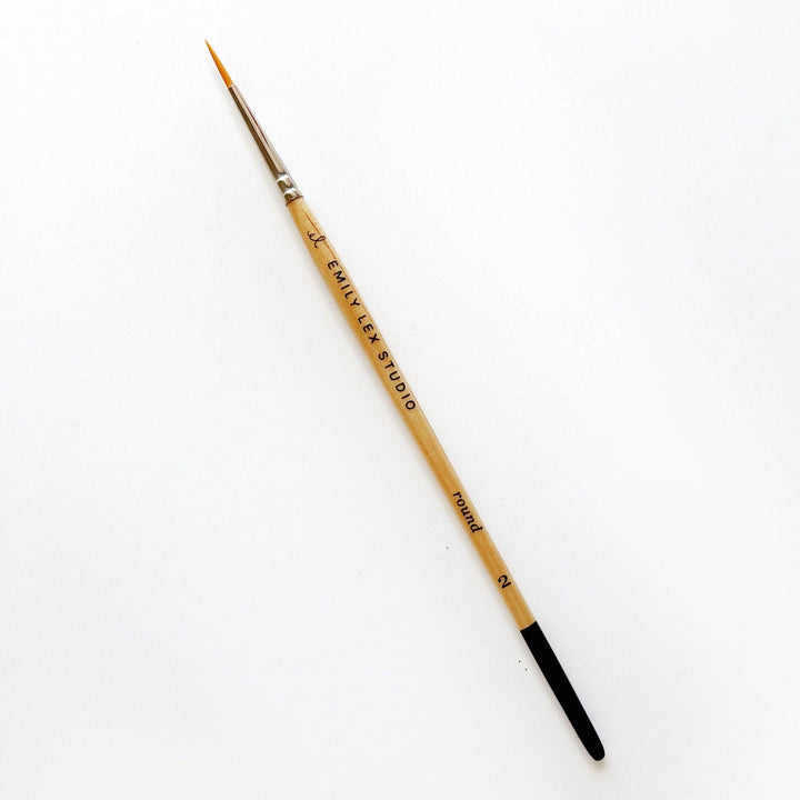 Emily Lex Watercolor paintbrush set