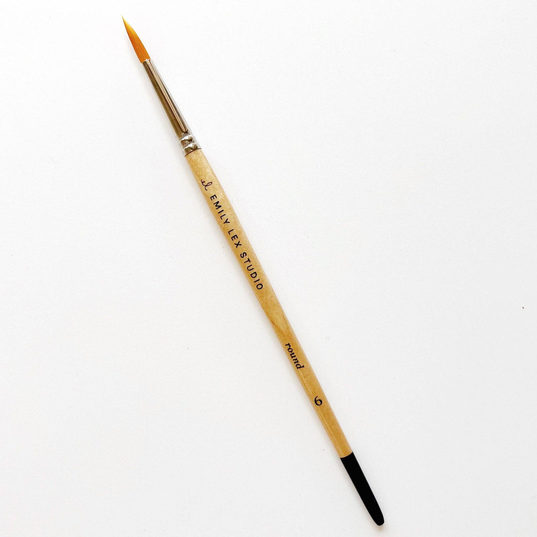 Emily Lex Watercolor paintbrush set