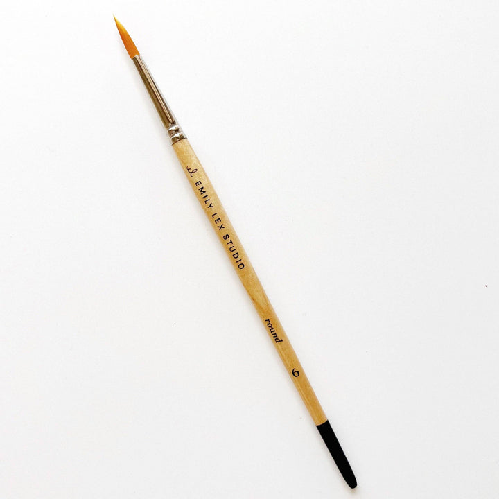 Emily Lex Watercolor paintbrush set