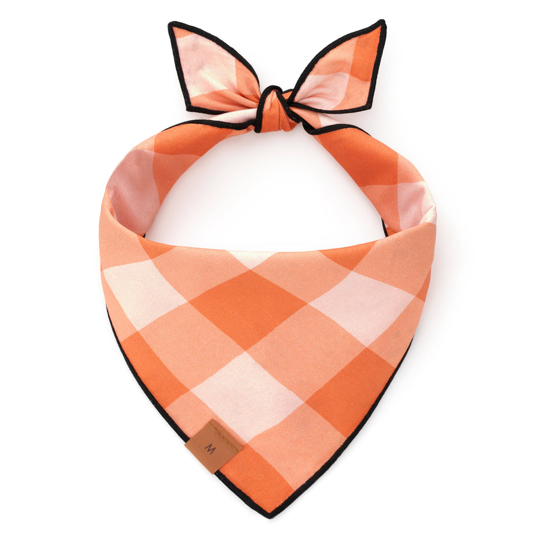 Jack-o’-Lanterns Reversible Halloween Dog Bandana