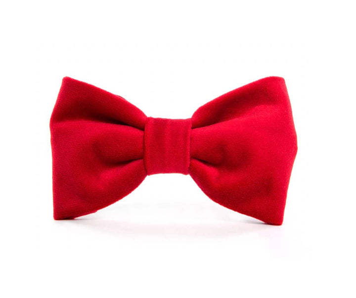 Cranberry Velvet Dog Bow Tie: Large