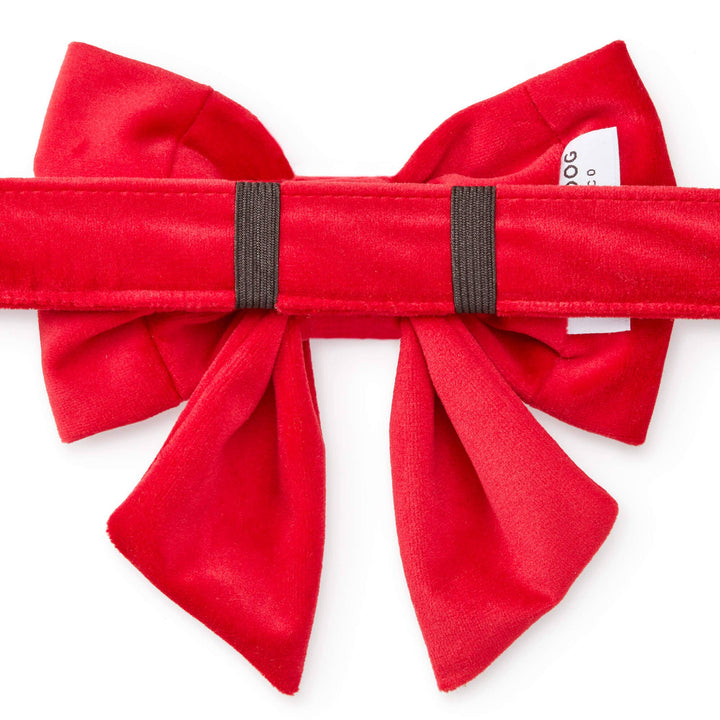 Cranberry Velvet Lady Dog Bow: Small